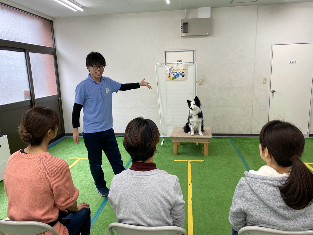 ドッグトレーナー養成スクール