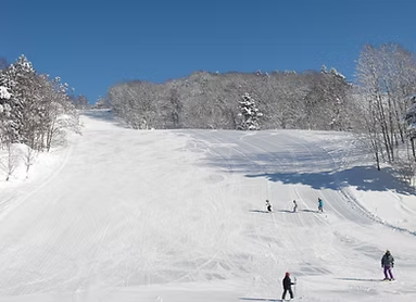 近郊のスキー場・スキー教室