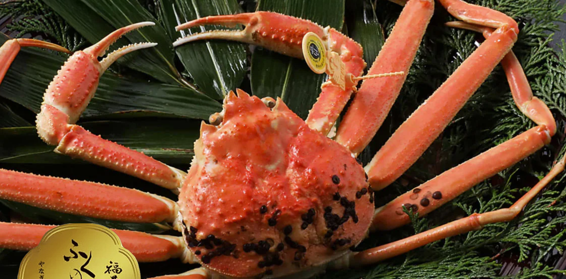 焼き鯖寿司の通販