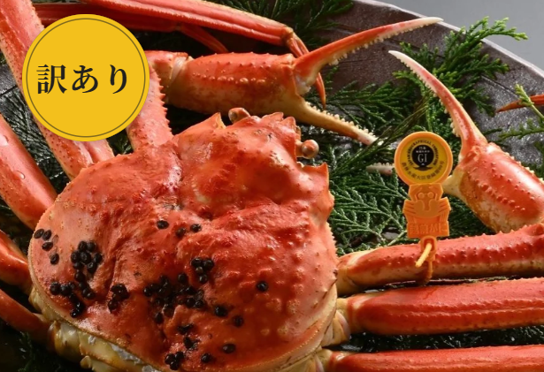訳あり越前ガニは日本料理やなぎ町