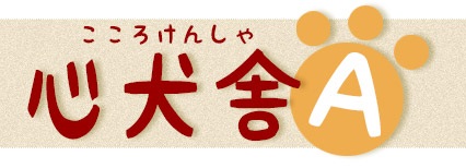 ブリーダー「心犬舎」について